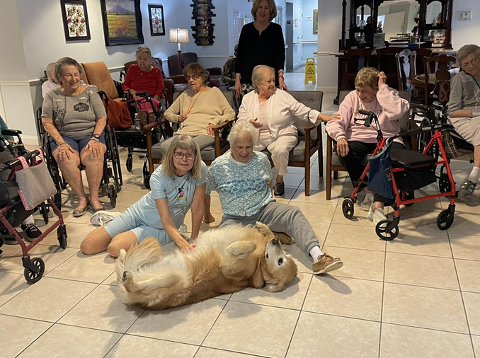 A group of elderly women sit and smile in a cozy assisted living common room, while a golden retriever lies on its back on the floor. Two women sit near the dog, happily petting it.